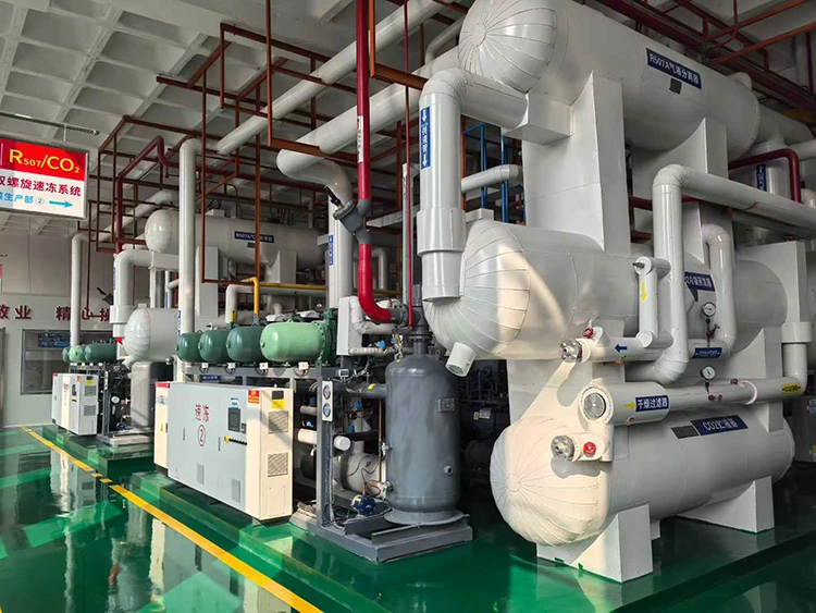 Bộ máy nén lạnh cận tới hạn CO₂
